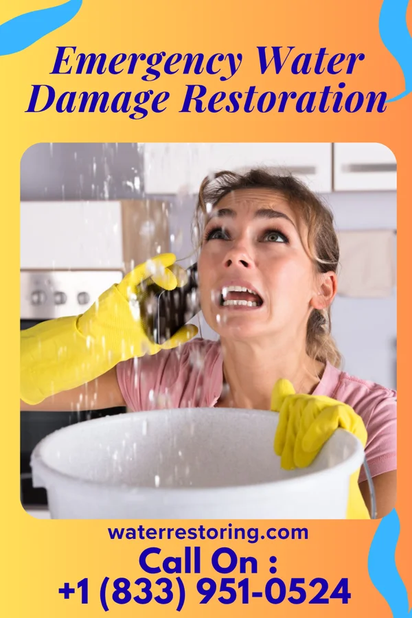 Emergency Water Damage Restoration in Sylvanite, MT
